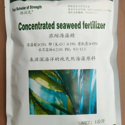出口级浓缩海藻精 海藻肥 厂家直销